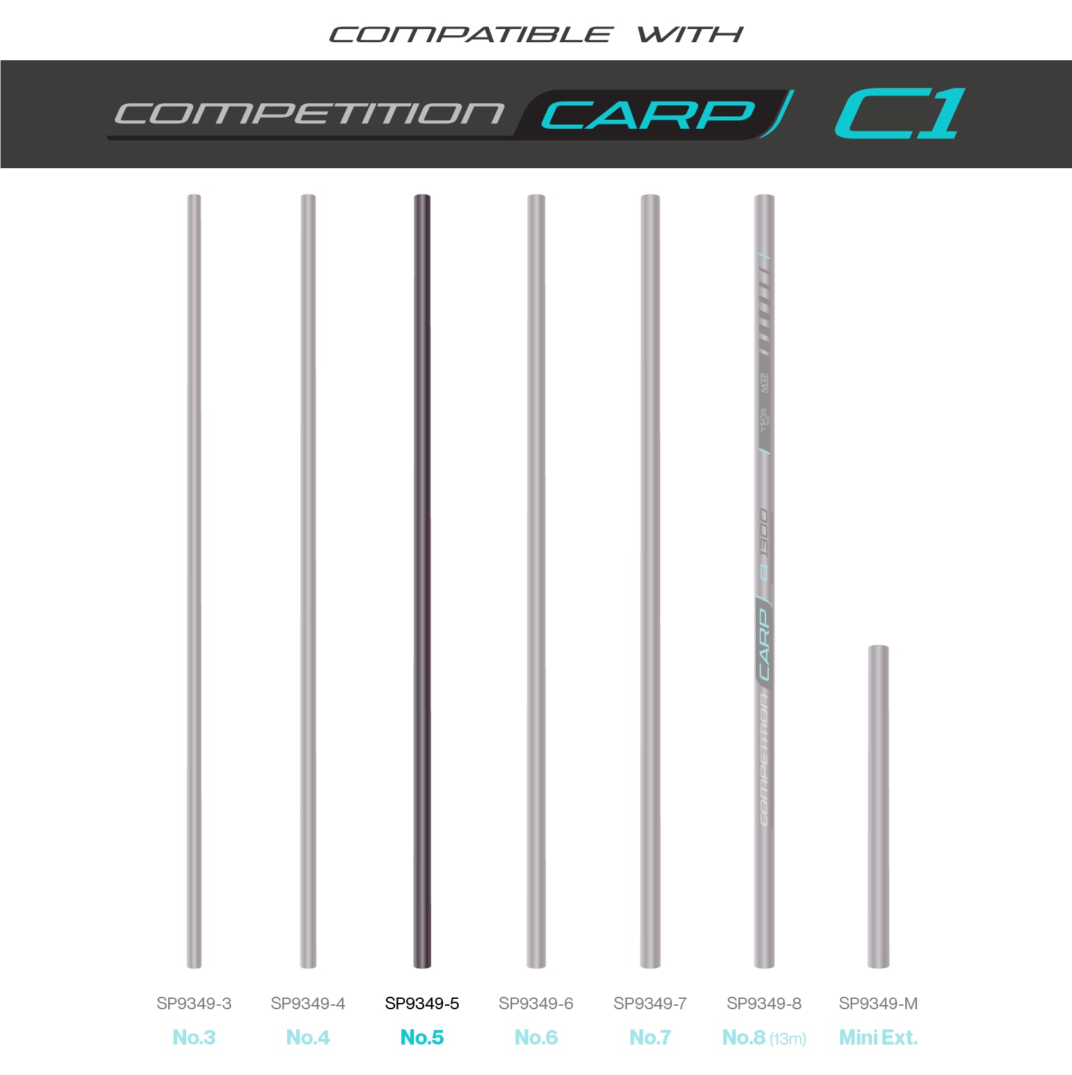 TKS C1 Sections