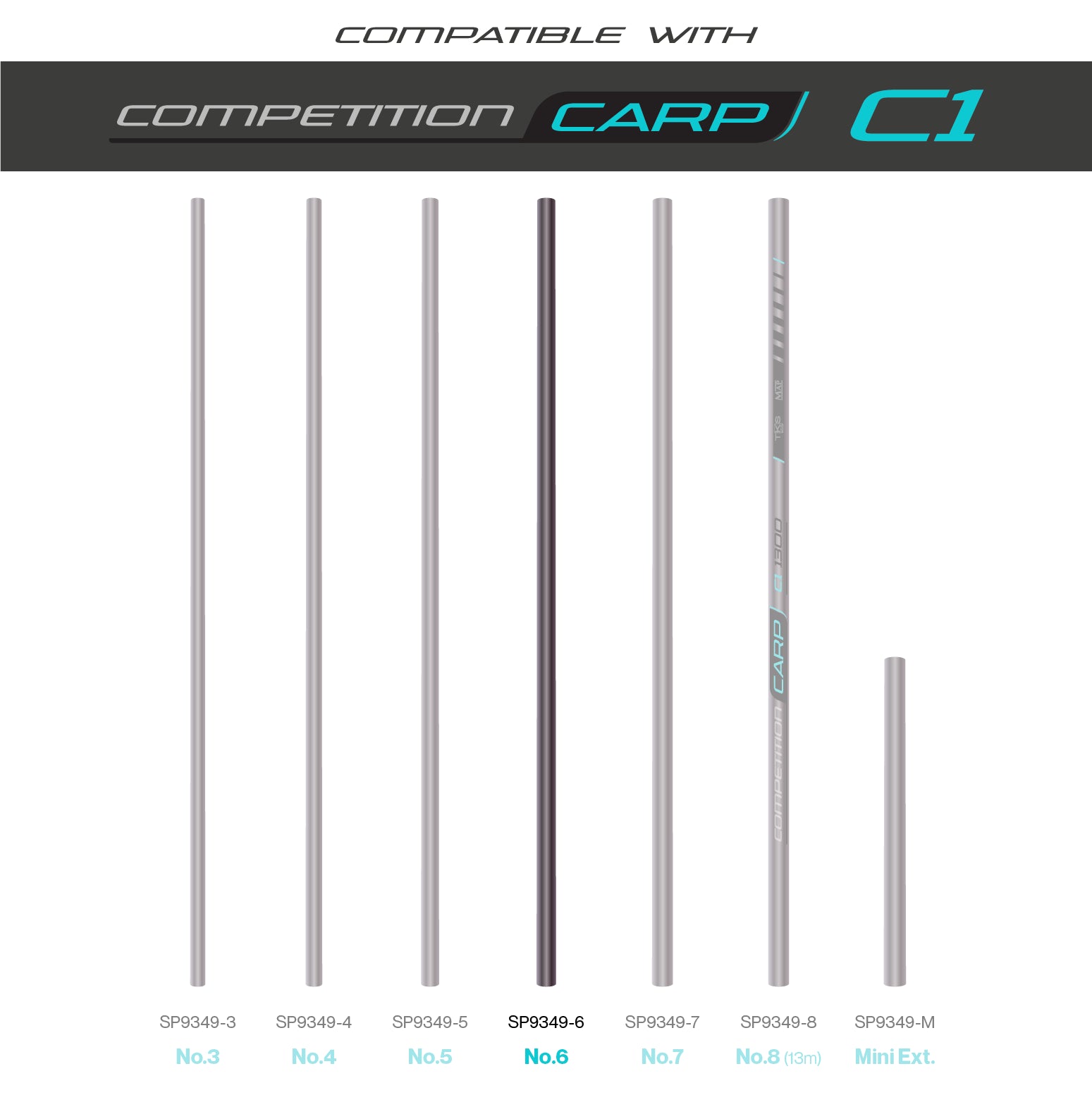 TKS C1 Sections