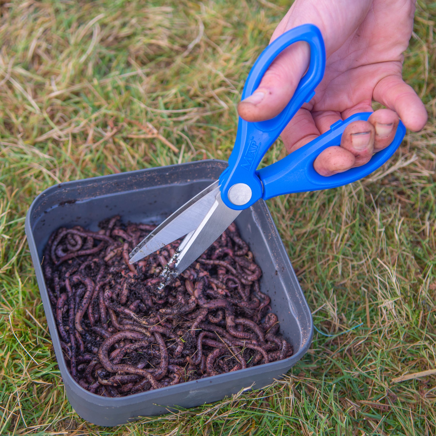 Worm Scissors