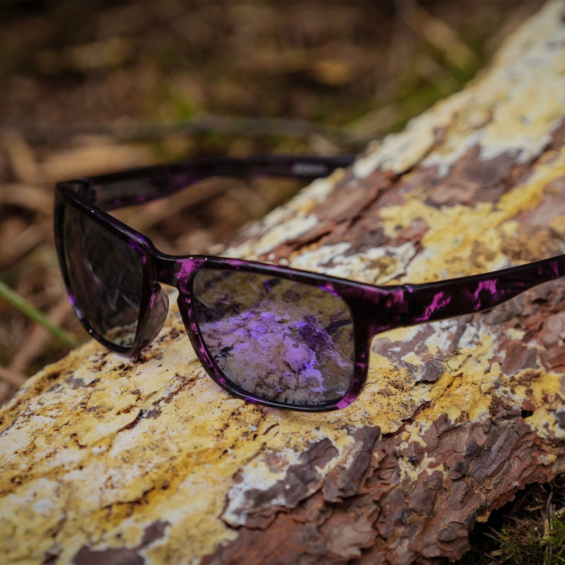 Signal Dark Tortoise Sunglasses-3 Polarised Lens Pac-Silver Mirror/Bronze/Yellow  Sunglasses  MAP Fishing